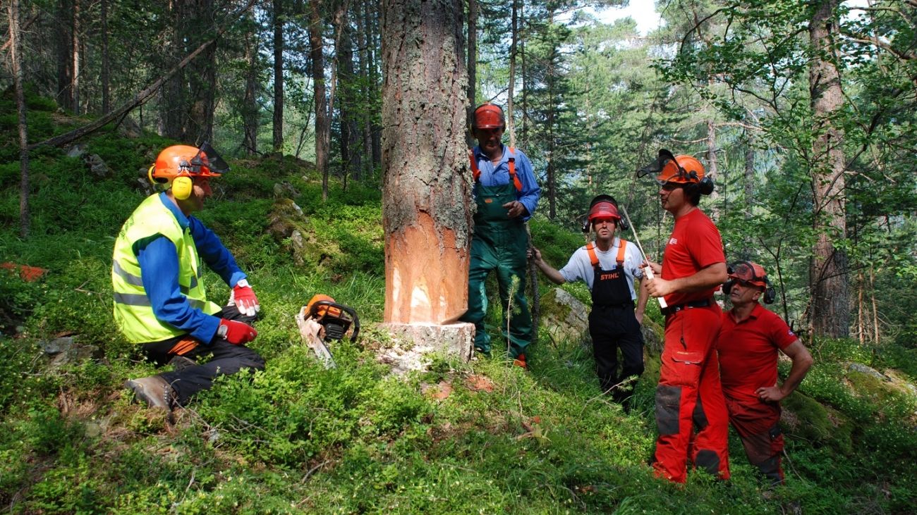 Calabria Verde, Csa-Cisal: «Forte disappunto su possibile trasformazione in ente pubblico economico»