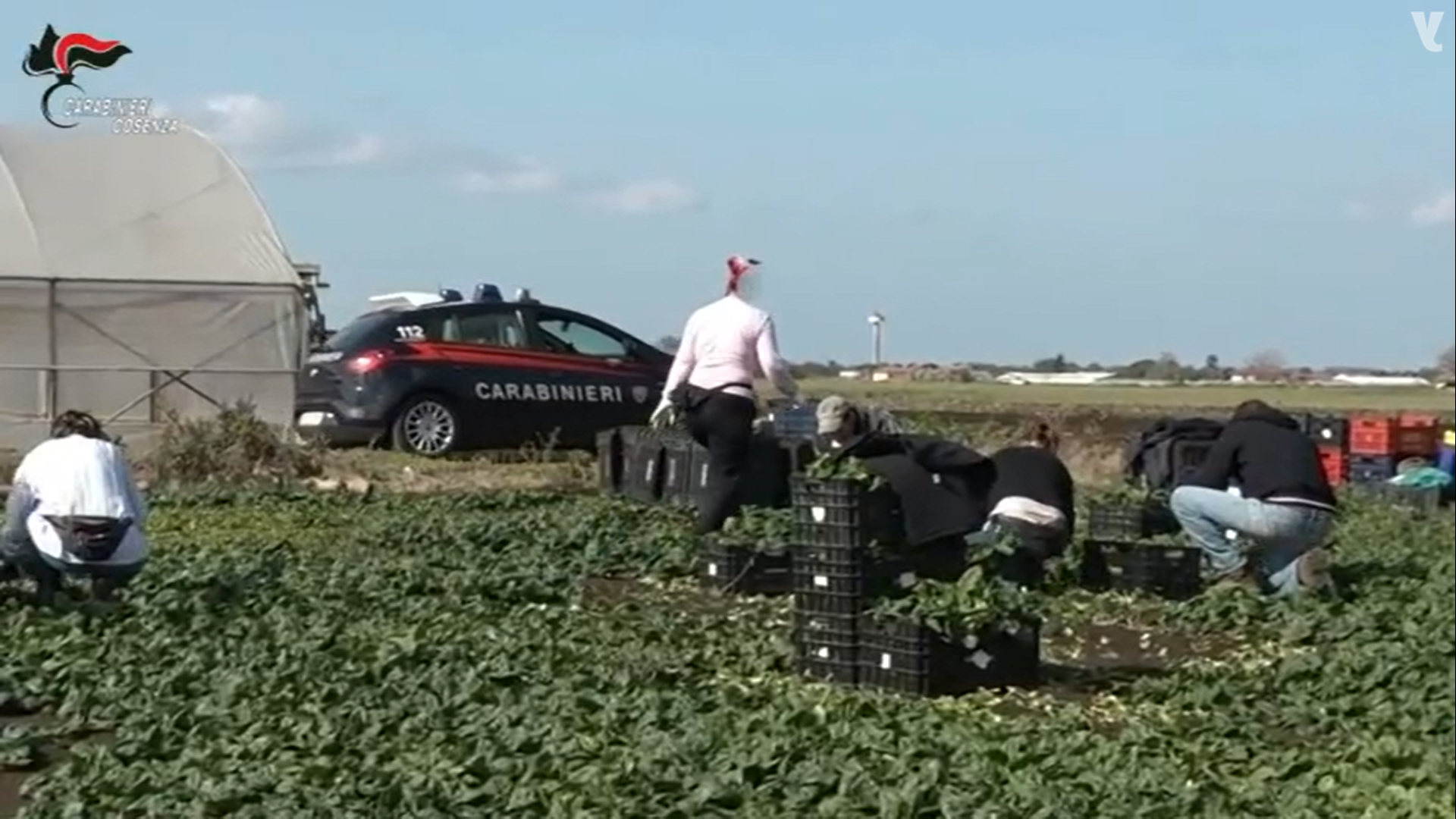 Caporalato, sfruttavano extracomunitari: 10 arresti