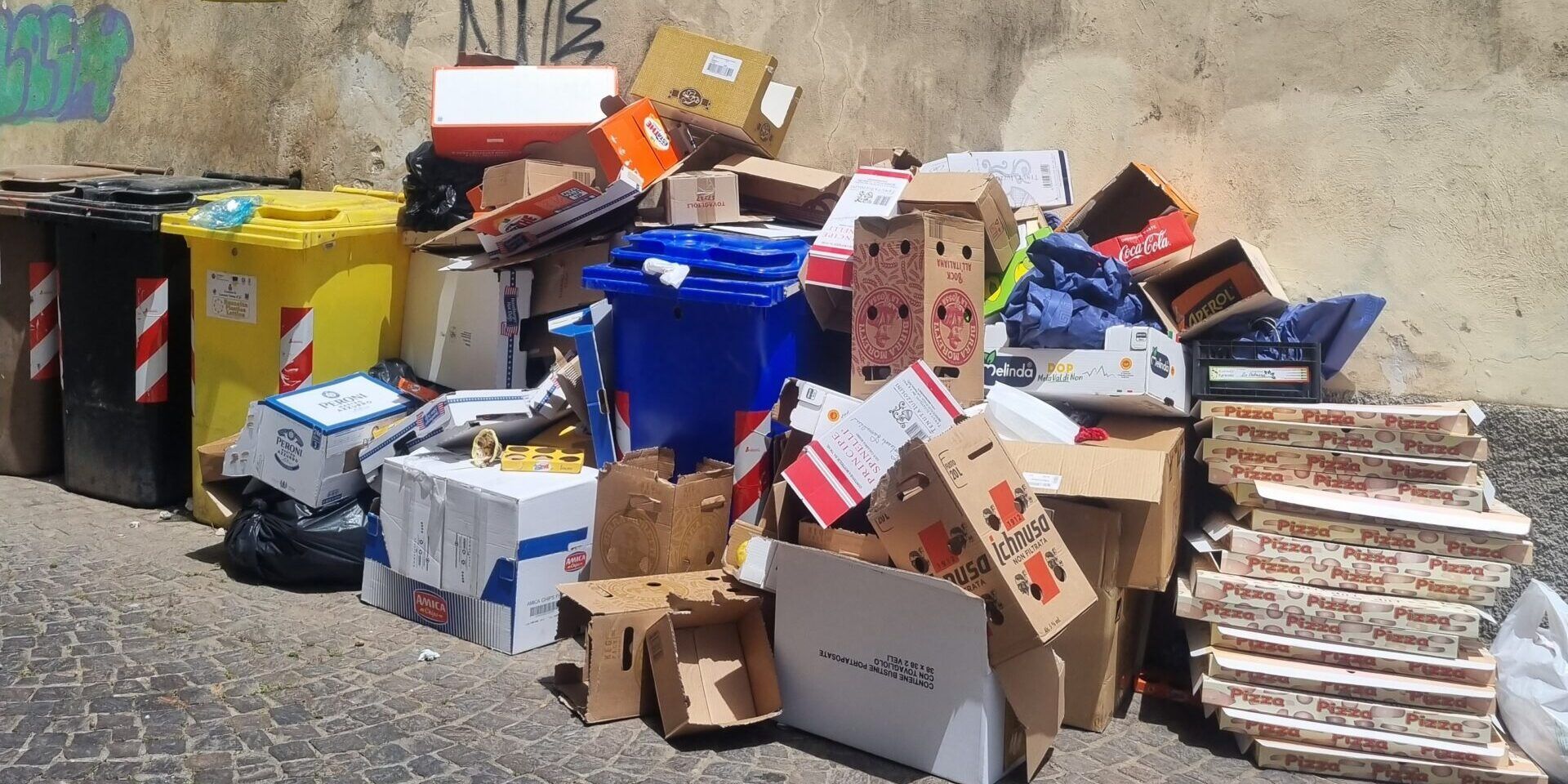 Lamezia, Piccioni: «Cassonetti colmi di rifiuti per il centro. Intervenga il Comune»