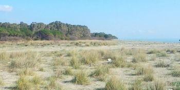 Dune di Giovino, un progetto per restituire valore a uno dei tesori naturali di Catanzaro