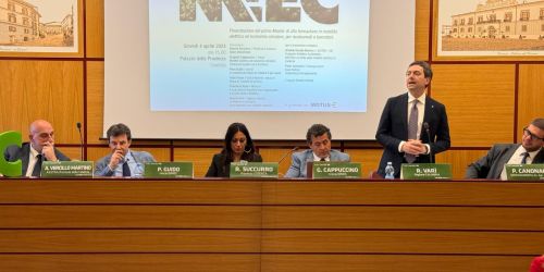 mec dimes cosenza unical