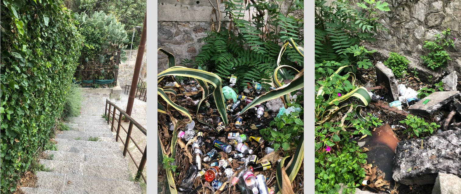 Veraldi (Azione): verde pubblico, incuria in uno degli affacci più belli di Catanzaro – FOTO