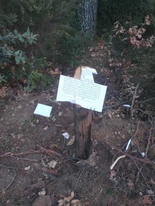 Raid vandalico a colpi di accetta nel giardino etnobotanico a Sersale