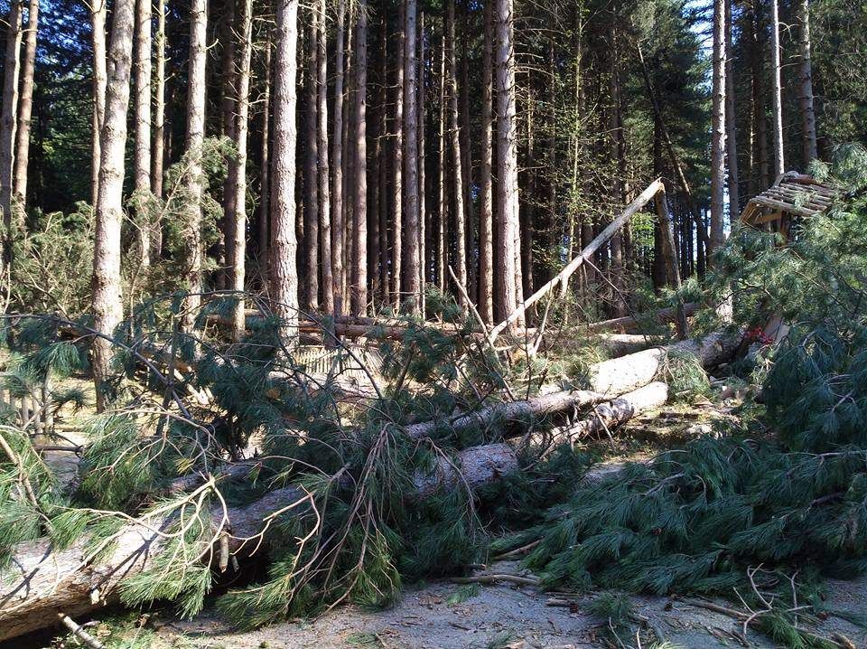 Lo sfregio all'ambiente (e non solo) a Sant'Andrea dello Jonio