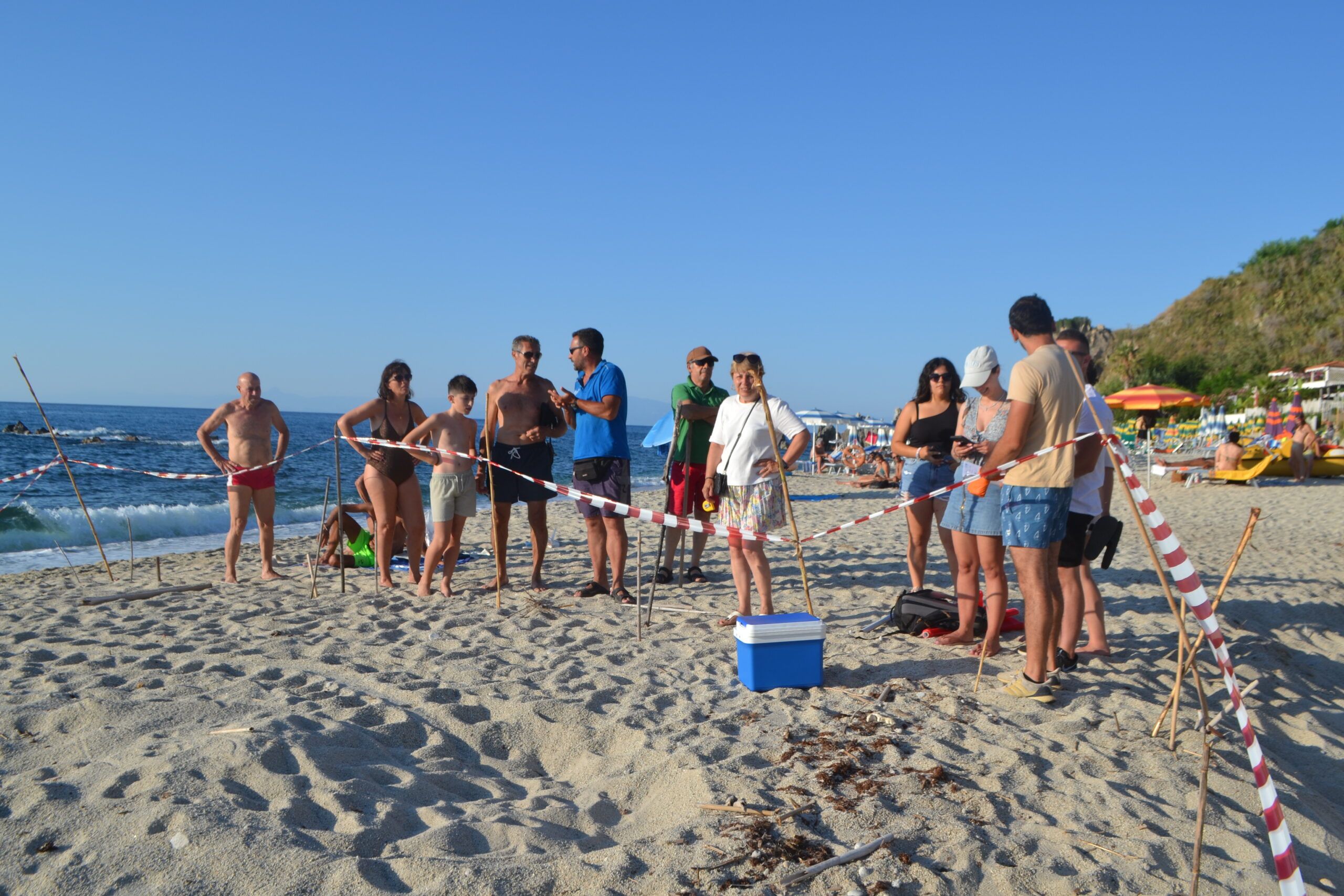 Parghelia piace anche alle tartarughe: trovato il secondo nido di Caretta caretta