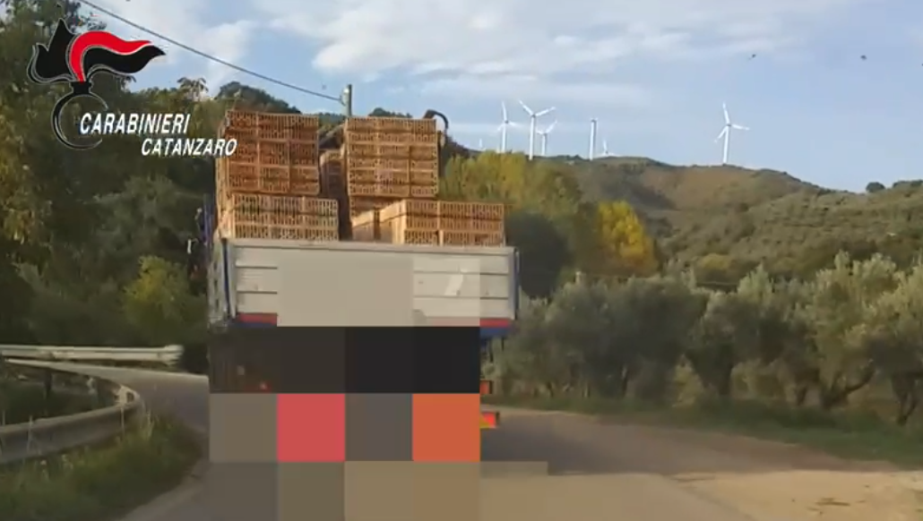 «Lo faccio saltare in aria». Le intimidazioni e i pagamenti (anche in mattoni) al gruppo Felicetta