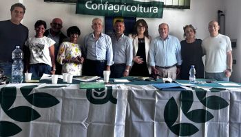 Firmato l’accordo per il rinnovo del Contratto Territoriale per i Quadri e gli impiegati agricoli della Calabria
