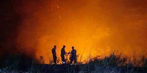 incendi calabria 'ndrangheta