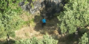 Ripreso da un drone della Regione mentre appicca il rogo: denunciato per incendio boschivo doloso nel Cosentino – VIDEO