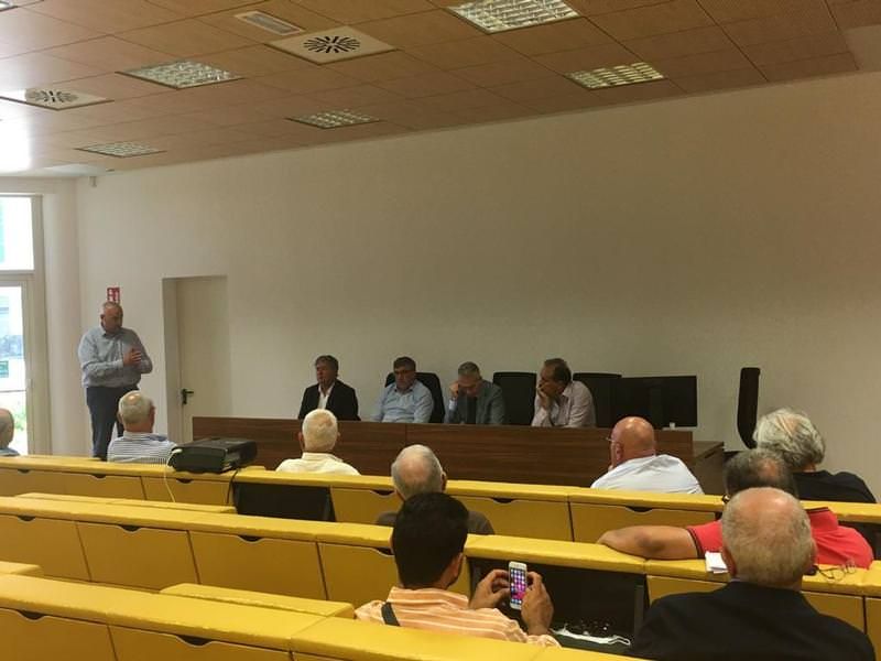 Gallo: «Olivicoltura settore trainante in Calabria»