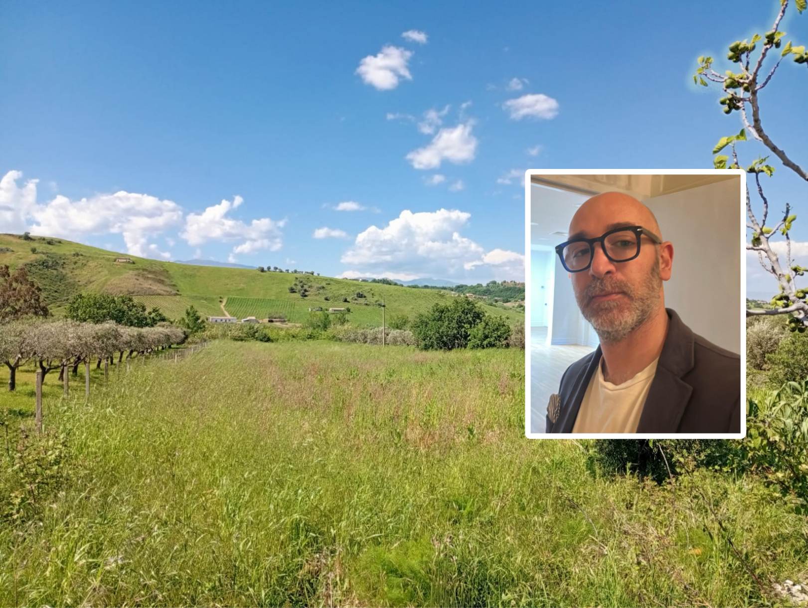 Dagli Stati Uniti a Cosenza, l’idea di un calabrese emigrato: offre un terreno per creare un orto comune