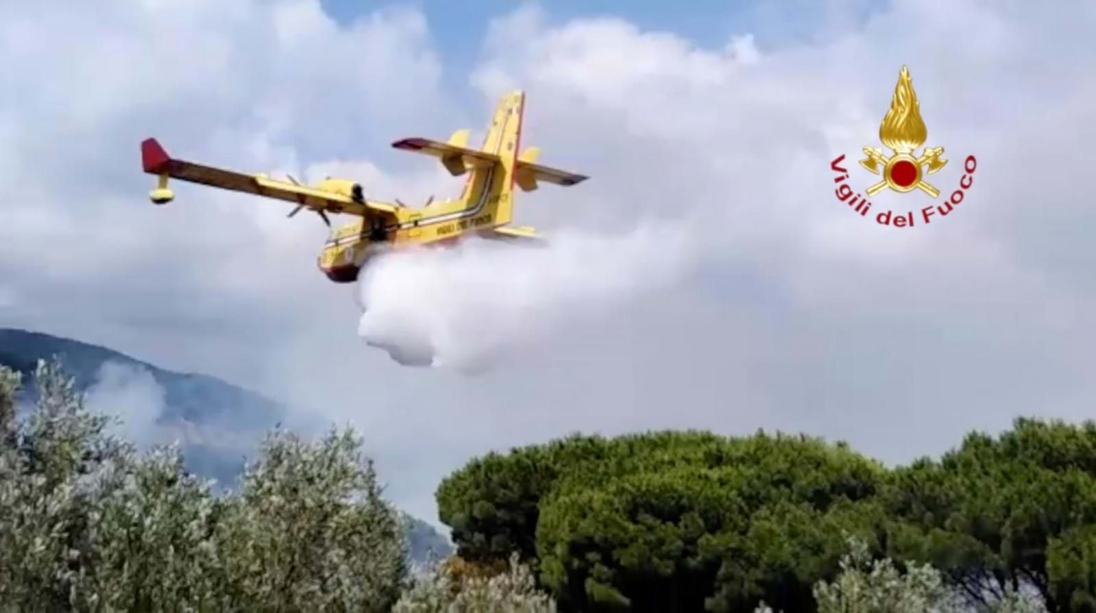 Catanzaro, incendio minaccia parco della Biodiversità – VIDEO