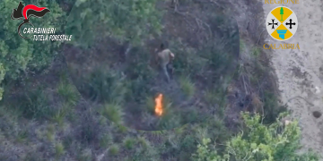 Appicca il fuoco al bosco ma il drone lo riprende in diretta: arrestato un allevatore nel Vibonese – FOTO E VIDEO