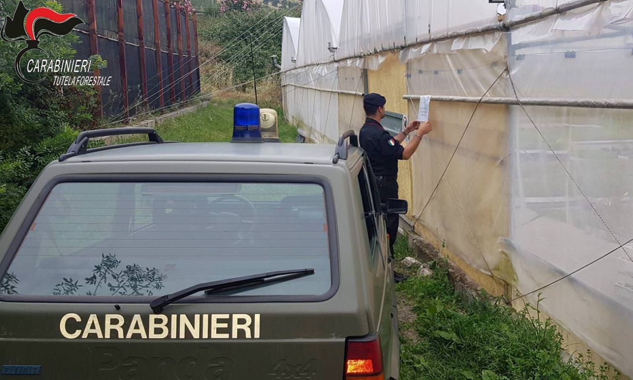 Occupata area demaniale, agrumeto e serre sequestrati a Castroregio