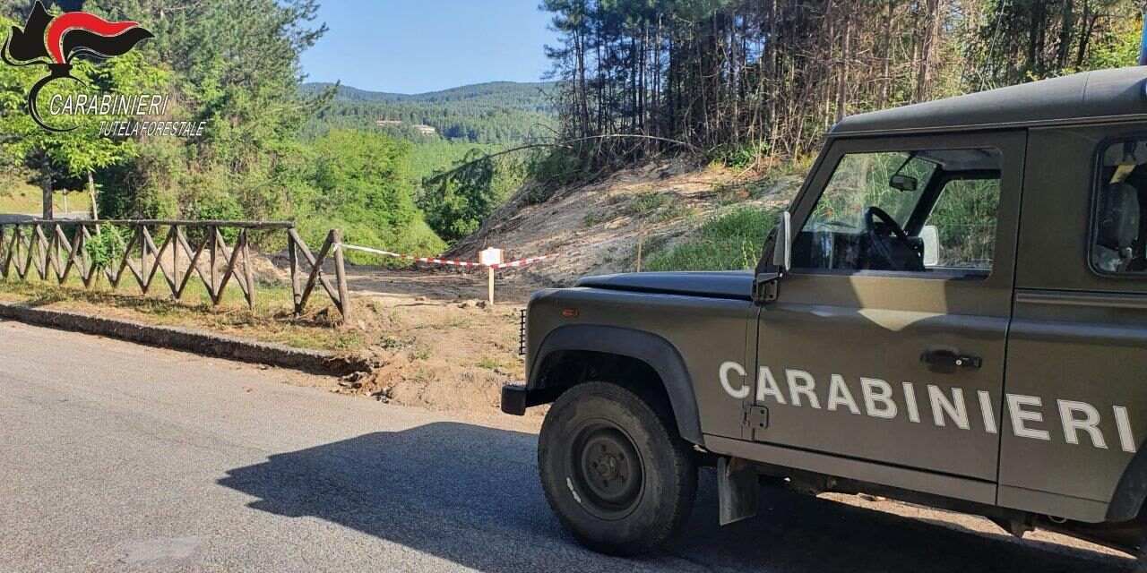 San Giovanni in Fiore, sequestrata una pista forestale abusiva
