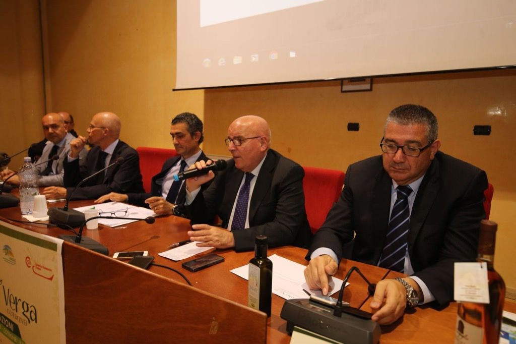 «L'olio diventi un marcatore identitario per la Calabria»