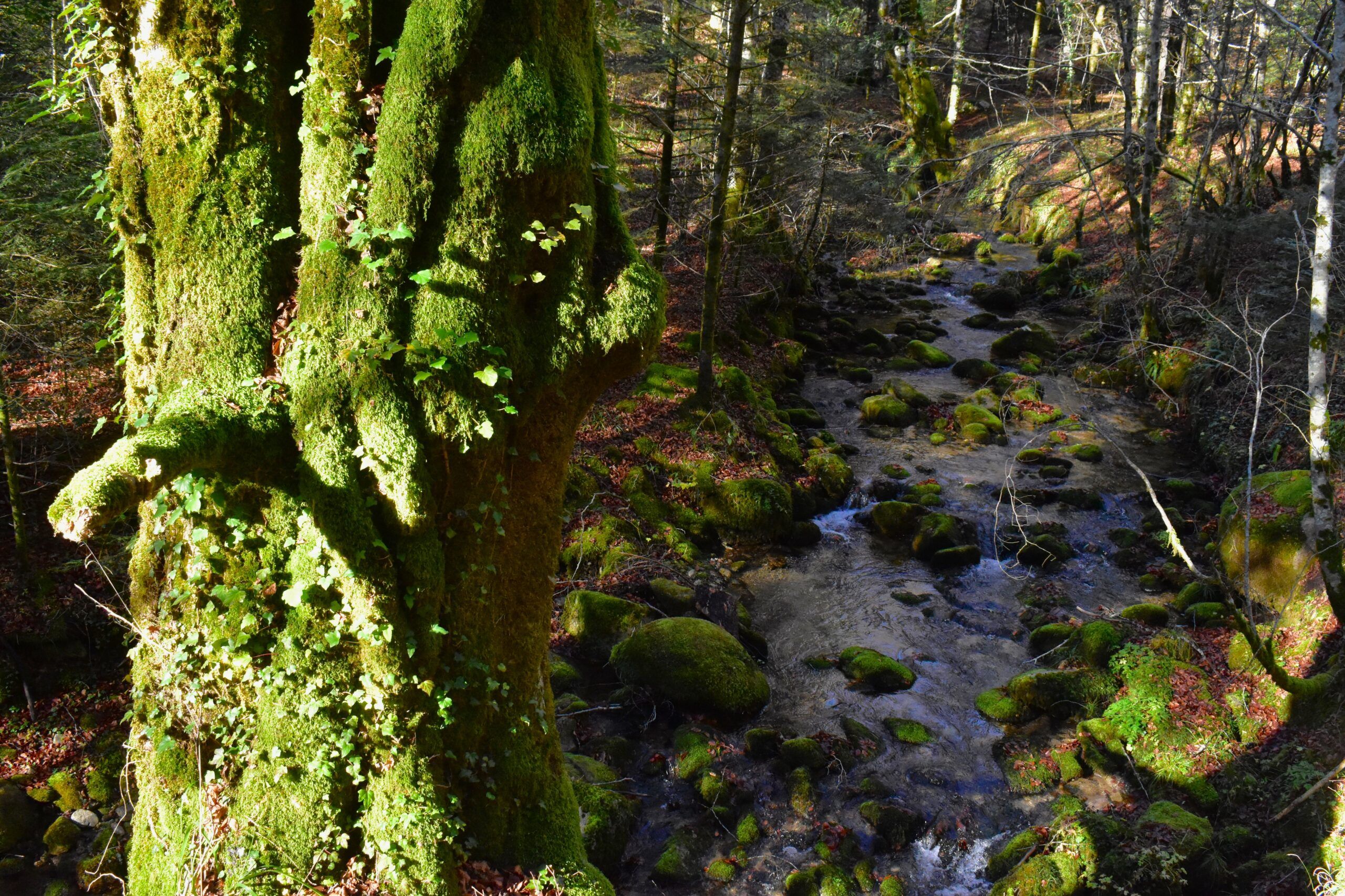 Valle del T. Mula: tutti i simboli del numinoso in un sol luogo