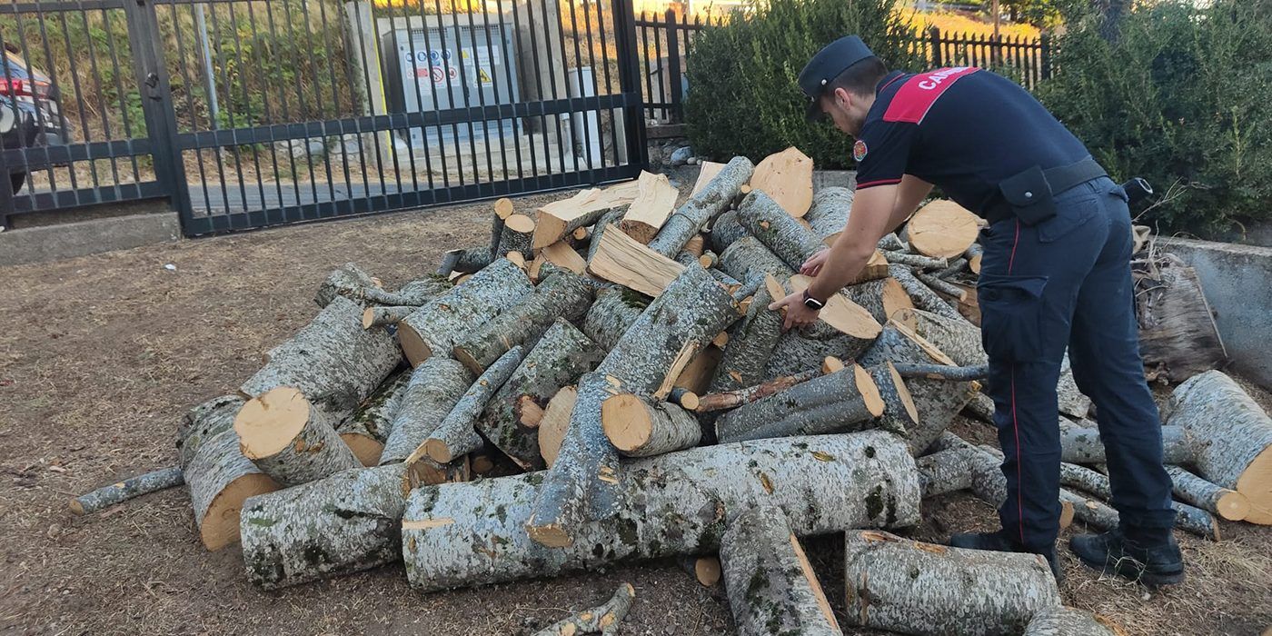 Abbattono illegalmente alberi: due arresti a Petilia Policastro