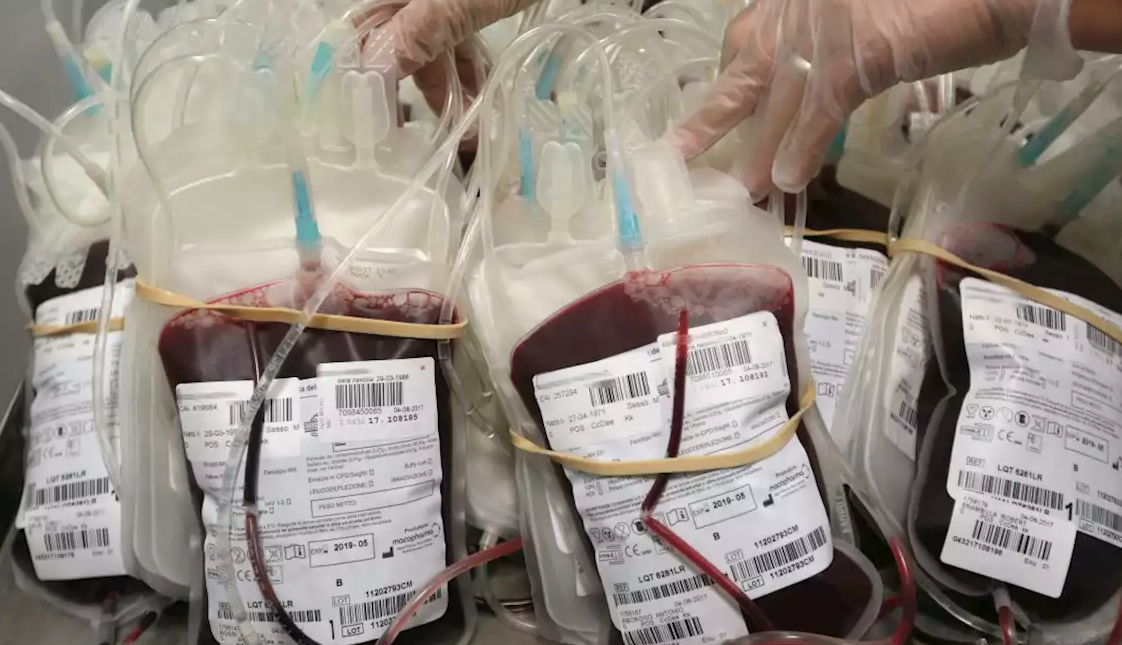 Coronavirus e donazione del sangue: 854 sacche raccolte e 180 volontari coinvolti nel Cosentino