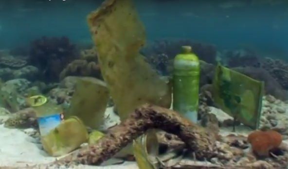 "Mare di plastica", il rivoluzionario progetto calabrese