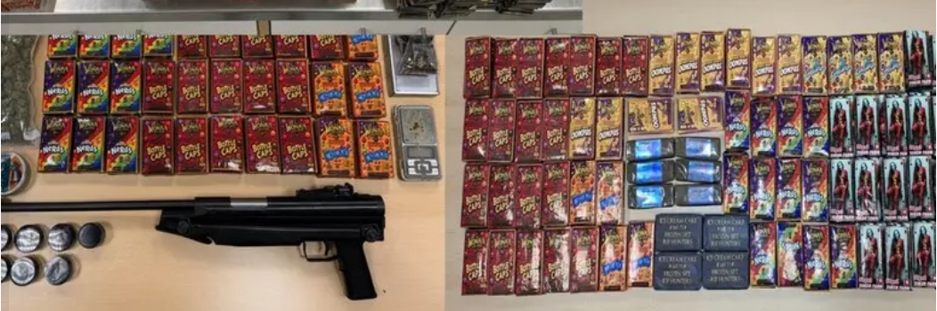 Maxi sequestro di droga a Bolzano: 43 chili di hashish, 4 arresti