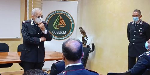 carabinieri-forestali