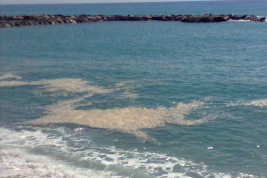 «Scie di liquami tra Cetraro e Amantea»