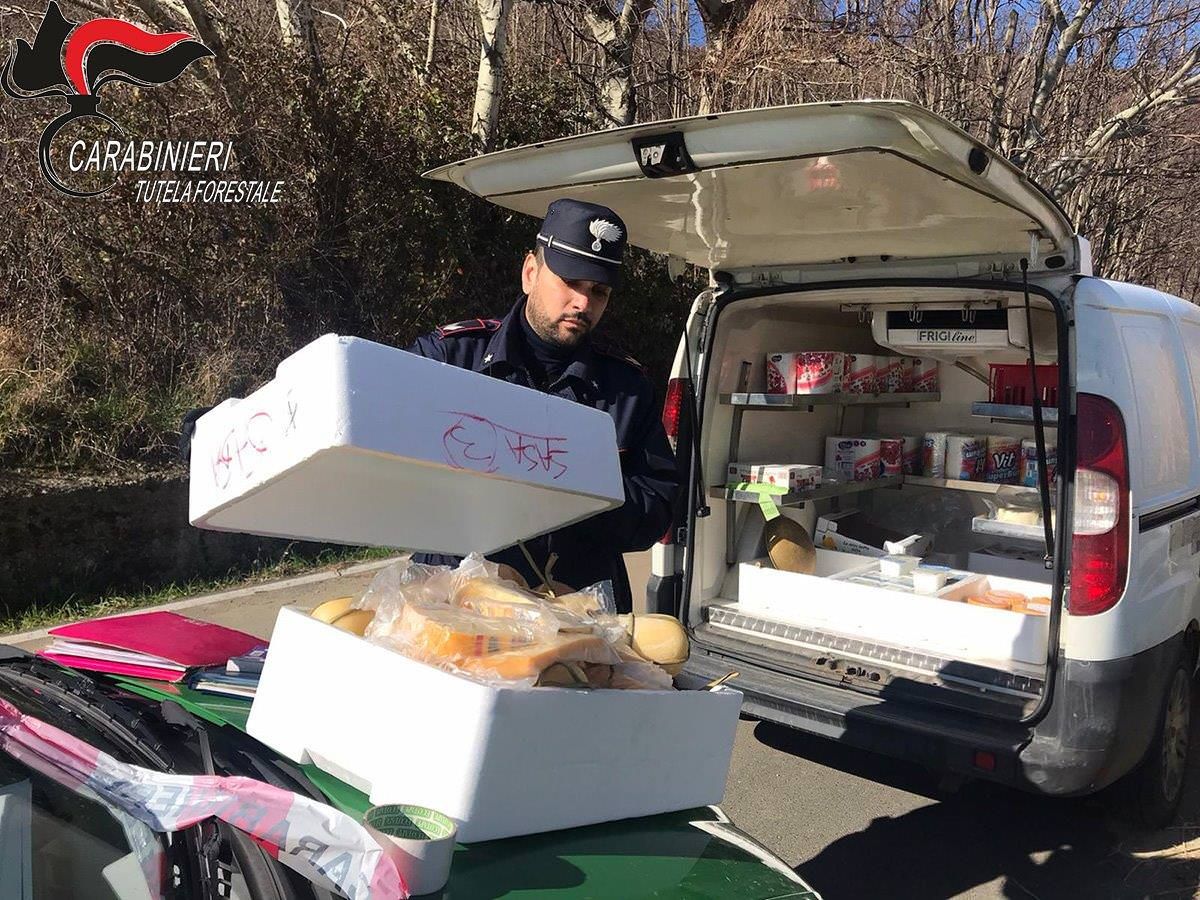 Sequestrati formaggi privi di tracciabilità nel Cosentino