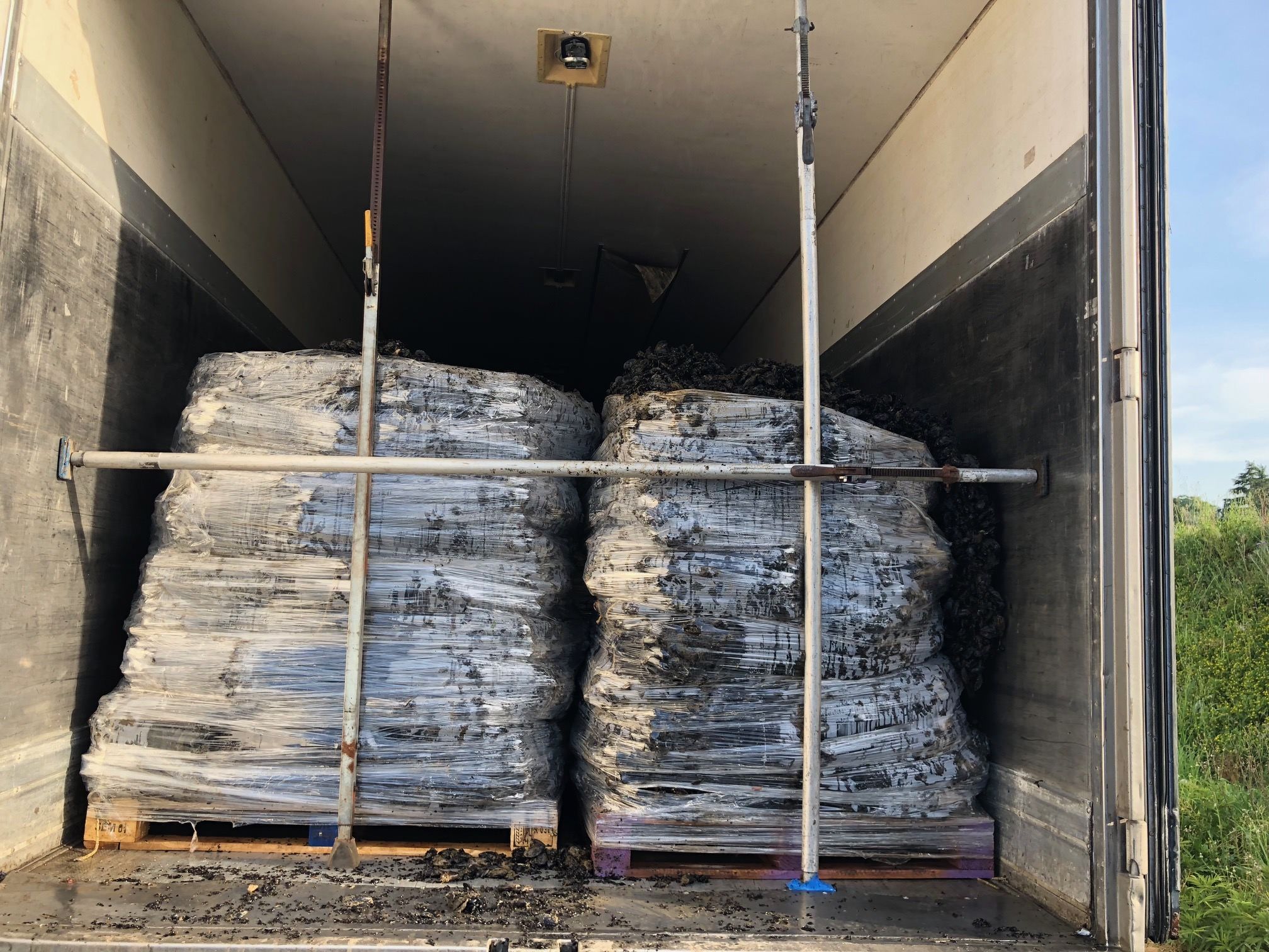 Vibo, la Polstrada sequestra 20 tonnellate di cozze vive