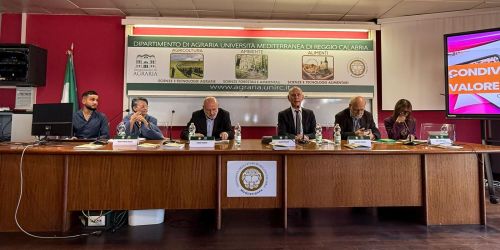 università Reggio Calabria Banco alimentare