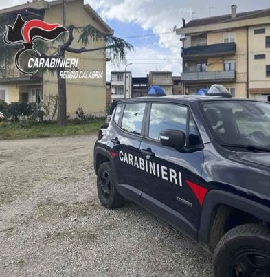 Prodotti ittici senza tracciabilità sequestrati e distrutti nel Reggino