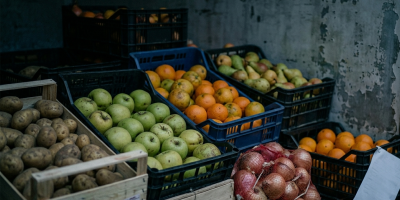 ‘Ndrangheta a Cortale, il patto per la fornitura di frutta e 200-300 euro in più nei lavori. «Devi prendere roba di qualità»