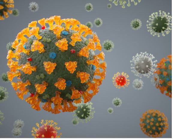 Quanto sopravvive il Coronavirus sulle superfici? Docente dell'Unical fa il punto – VIDEO