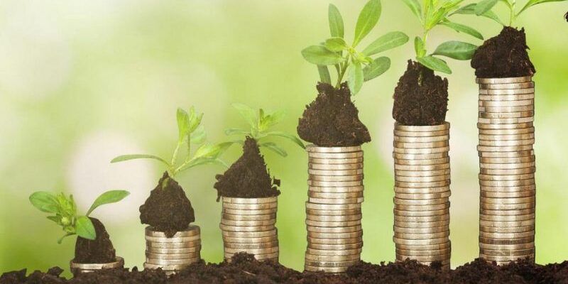 Bioeconomia circolare, domani il convegno “Sfide alle opportunità per l’agricoltura e l’agroalimentare”