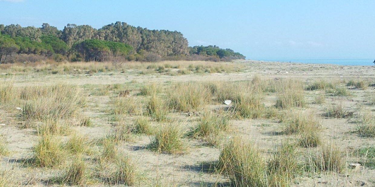 Riserve naturali, il “boom” in Calabria. Ne nascono altre tre