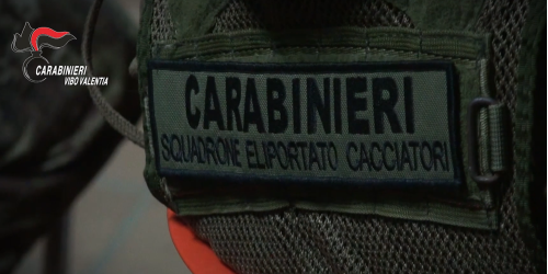 cacciatori calabria Vibo alto impatto