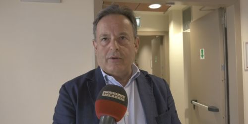 oliva calabria verde