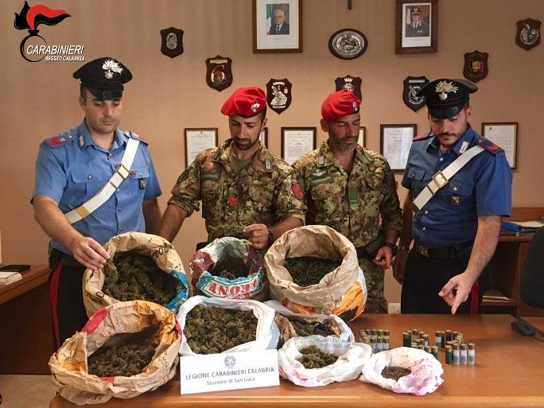 Trovati nella Locride 9 chili di marijuana