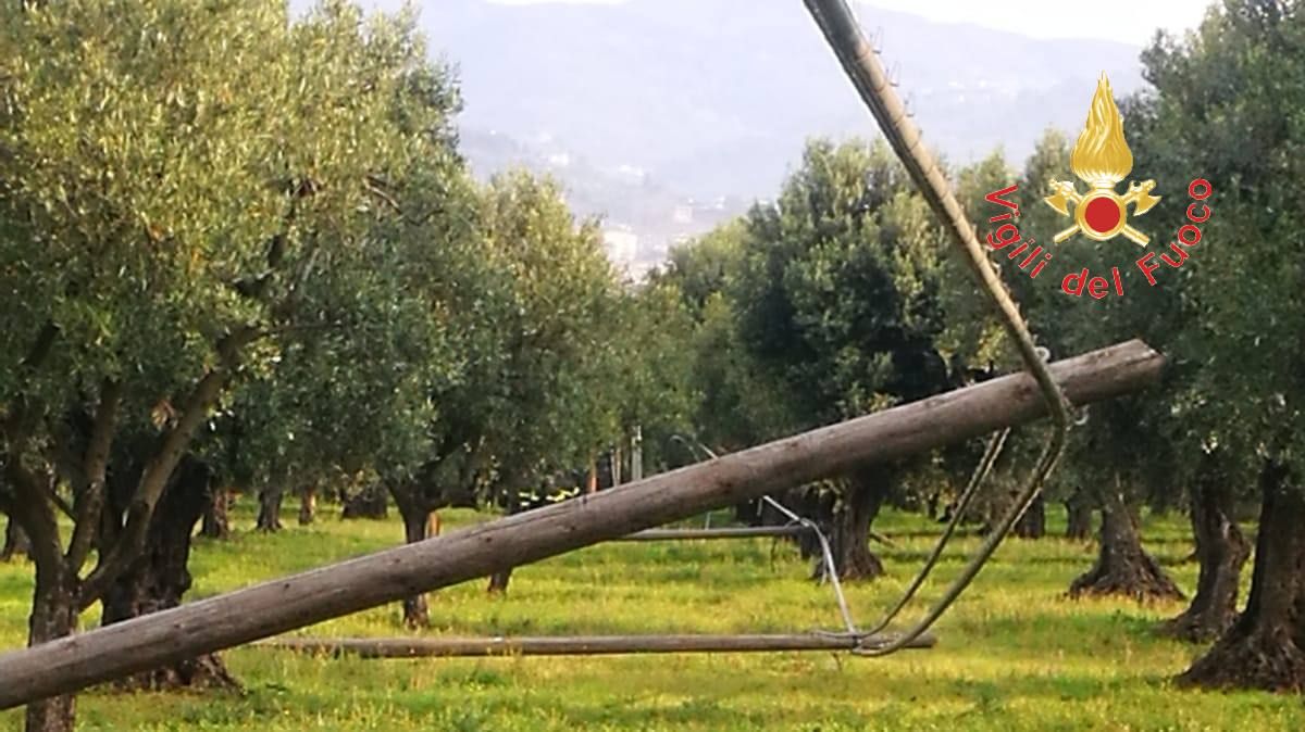 Lamezia, abbattono sei pali Telecom per rubare i cavi di rame