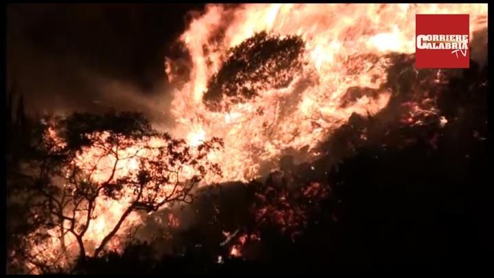 In fiamme il Parco della Biodiversità