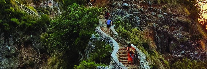 “Nuovi Radicamenti”, lunedì presentazione del progetto dedicato alla Calabria