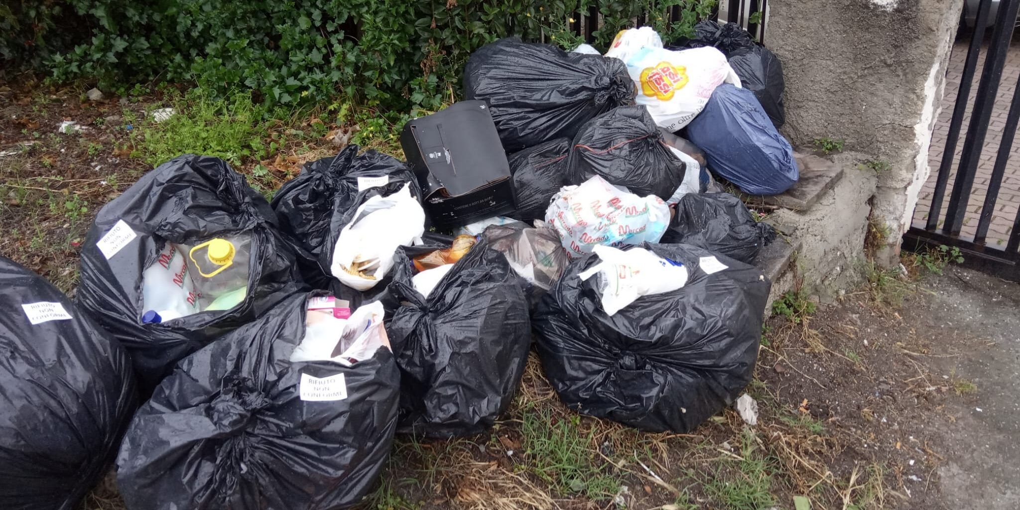 Falerna, lo sfogo dei cittadini: «Abbandono rifiuti sempre più frequente» – FOTO