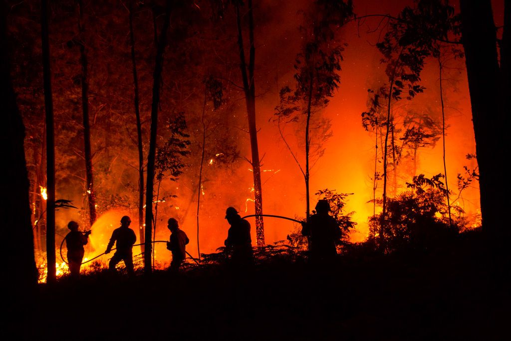 «Roccaforte del Greco dopo gli incendi non esiste più»