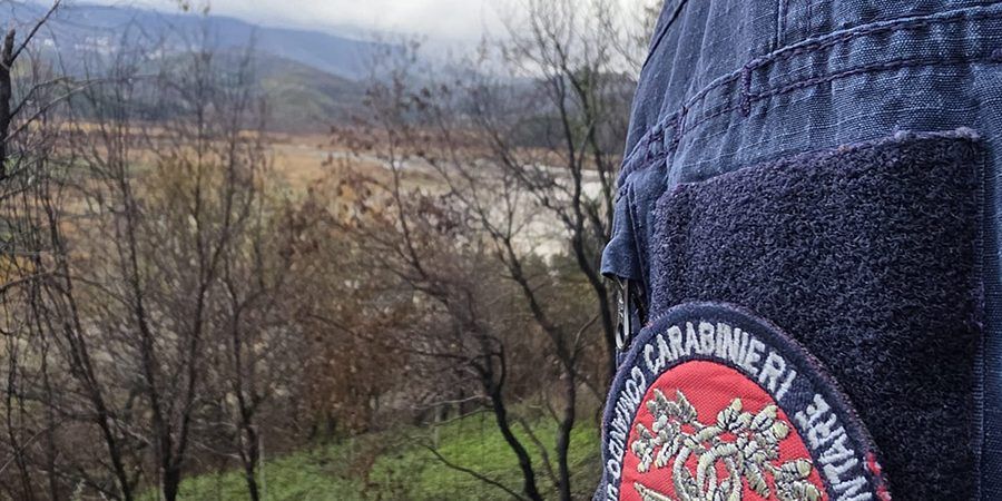 Pascolo su aree percorse da incendi, pastore sanzionato nel Vibonese