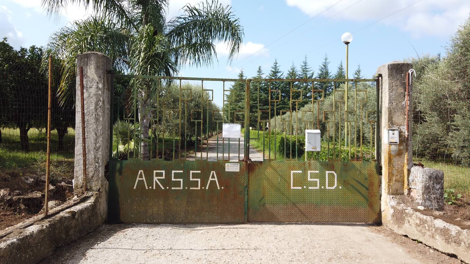 Shopping e corsetta nell'orario di lavoro, beccati a Gioia Tauro 15 "furbetti" dell'Arsac – VIDEO