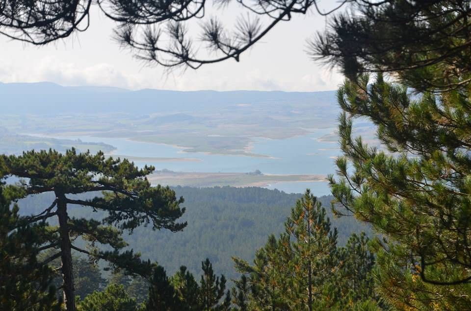 «La Sila non merita la bocciatura Unesco»