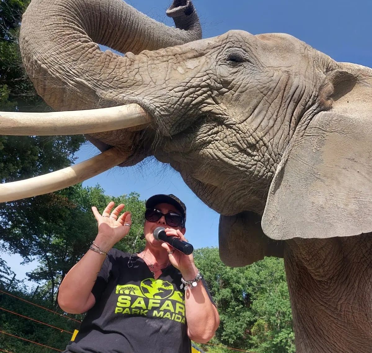 Domatrice aggredita al Safari Park di Maida: l’elefante sarà trasferito in Germania