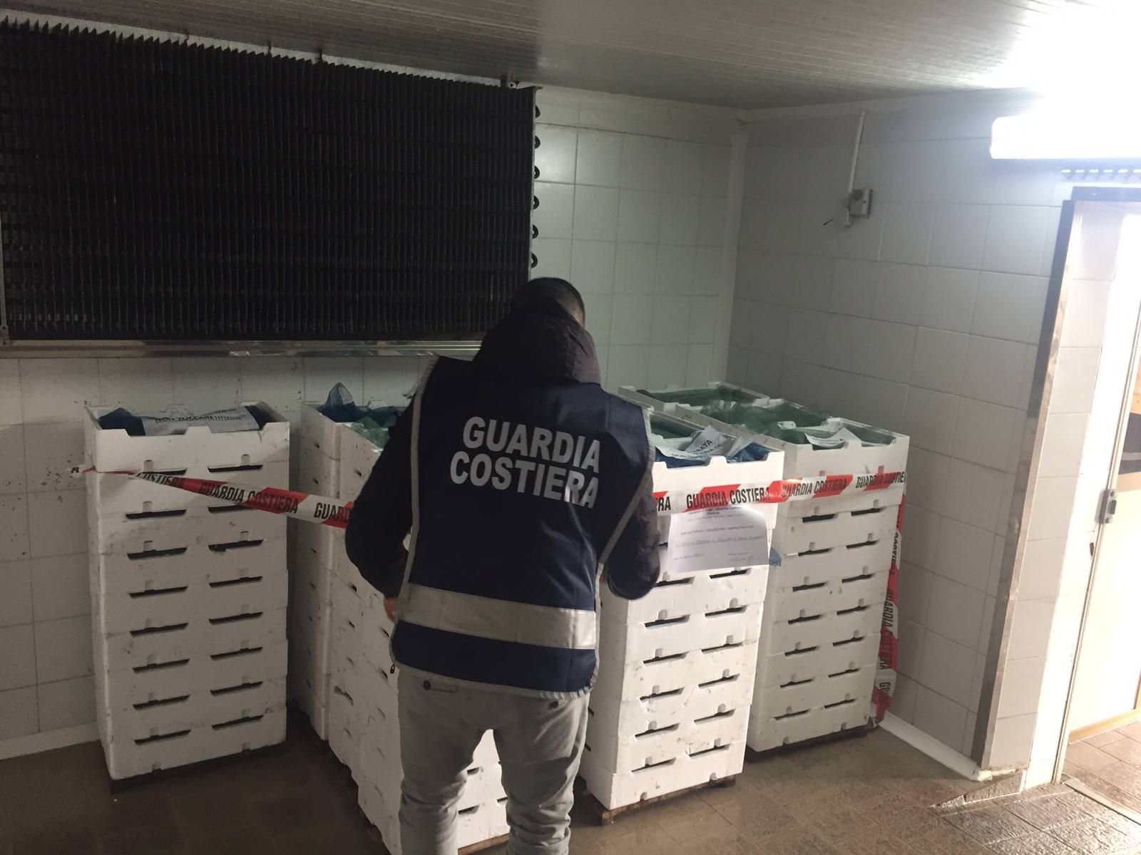 Sequestrata quasi una tonnellata di "bianchetto". Multe per 50mila euro