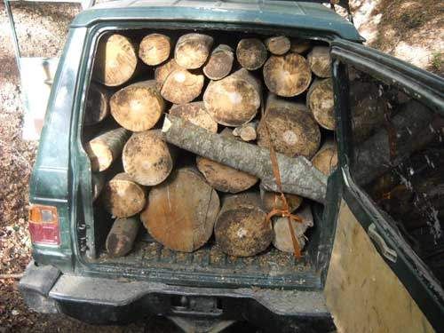 Tre arresti per furto di legna a Soriano