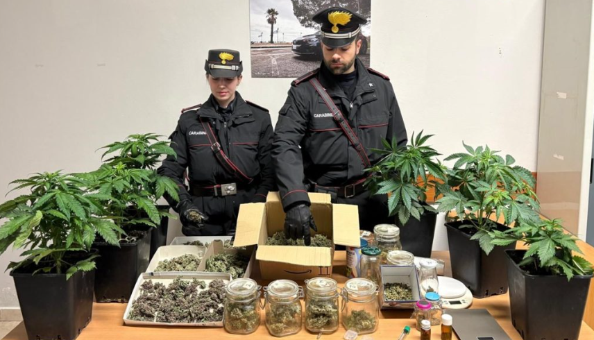 Serre di marijuana in casa: arrestato 55enne nel Vibonese